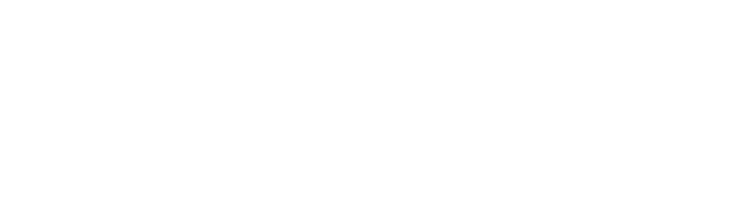 garone concerto logo orizzontale